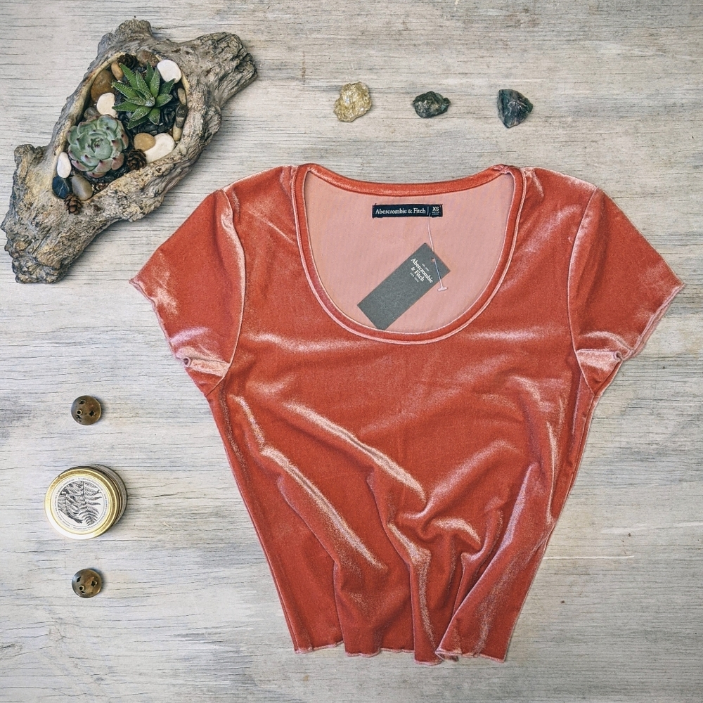 Abercrombie scoop velvet neck crop top